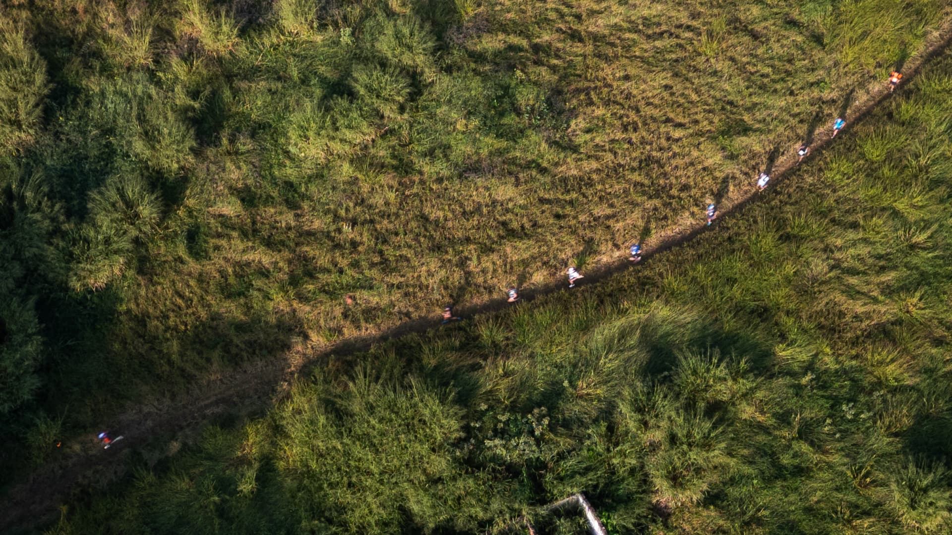 Vista aérea de corredores em fila numa trilha de capim
